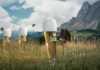 Birra FORST, nasce in Alto Adige per piacere ovunque Birra Forst