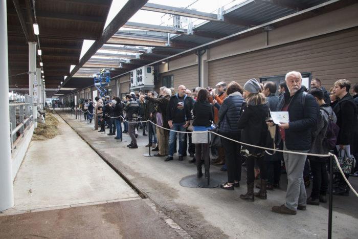 Fila Stalle FICO Eataly World