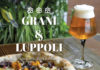 Grani & Luppoli grani-e-luppoli