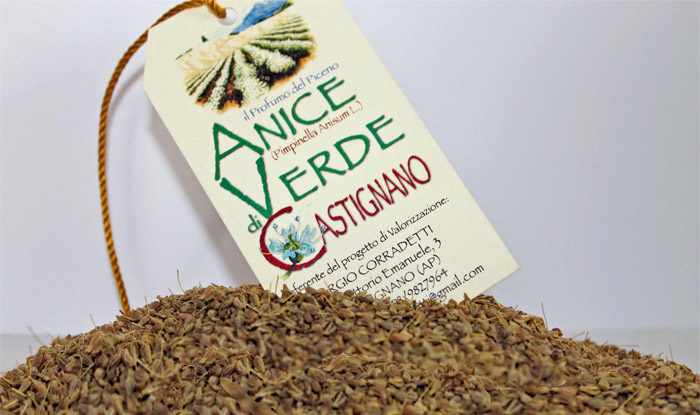 anice terra madre
