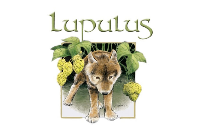 lupulus cover