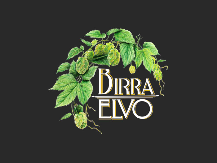 Logo Elvo