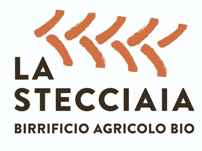 logo stecciaia