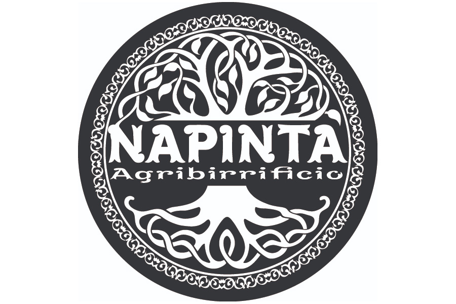 logo napinta