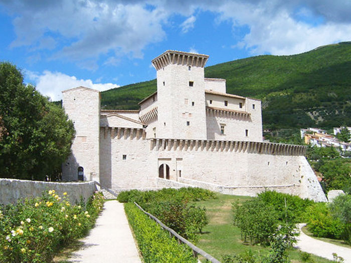 rocca flea