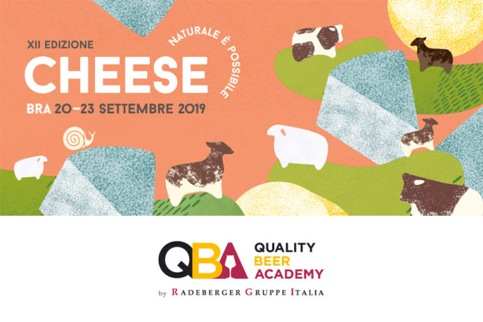 cheese 2019 qba