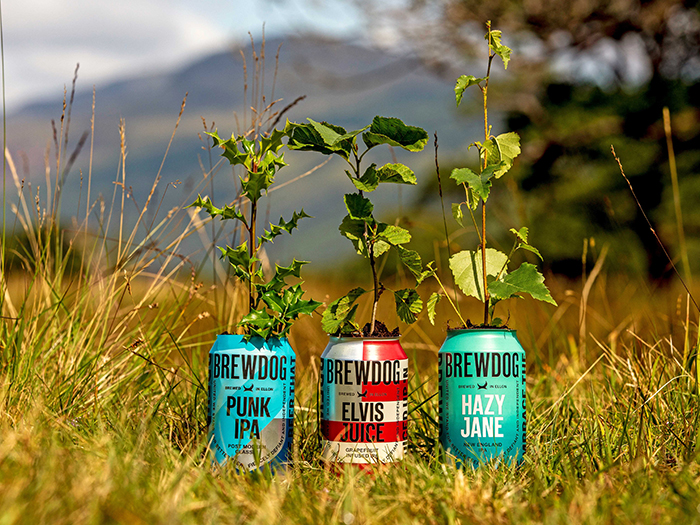 brewdog forest