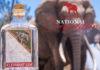 Iscrizioni all’Elephant Gin National Competition