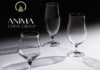 CERVE GROUP presenta ANIMA