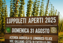 31 agosto 2025 torna Luppoleti aperti