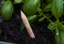 Arriva il “Pizza Pencil Pack” di SproutWorld