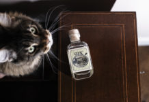 Gin’Ó: l’Umbria in un distillato