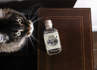 Gin’Ó: l’Umbria in un distillato