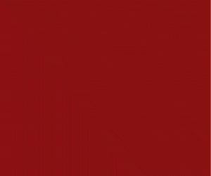 Meckatzer