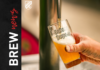 Brewrise nuova partnership con Brasserie Dupont