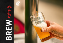 Brewrise nuova partnership con Brasserie Dupont