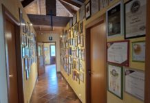 Premi internazionali per le Tenute Collesi