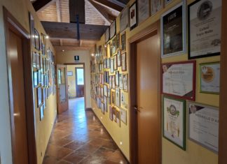 Premi internazionali per le Tenute Collesi