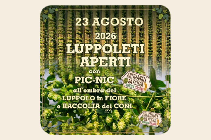 luppoleti aperi