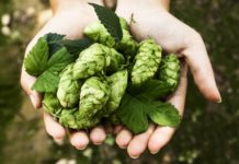 Consorzio Birra Italiana al Simei
