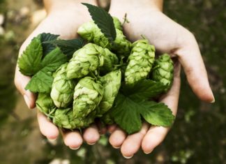 Consorzio Birra Italiana al Simei